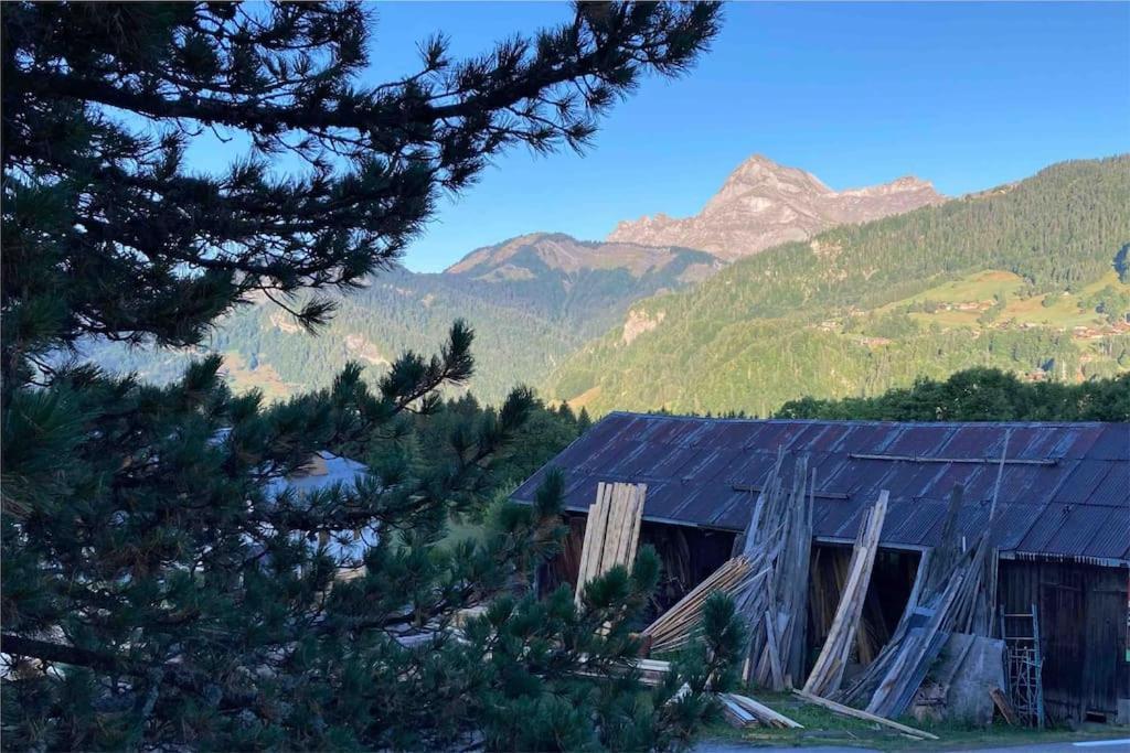 « les Belles Roches » Piscine